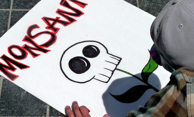 Glyphosate : les méthodes de Monsanto pour avoir toujours raison