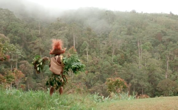 « Frères des arbres », dans la lutte des Papous contre la déforestation