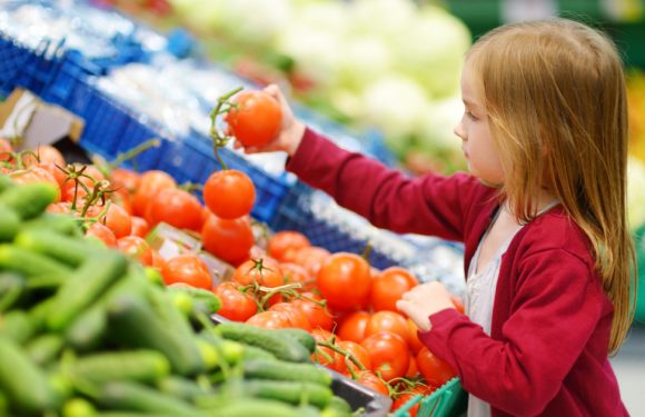 Perturbateurs endocriniens : le gouvernement dévoile sa nouvelle stratégie