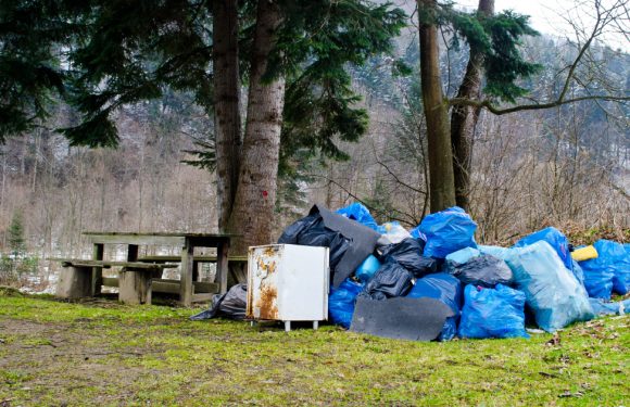 Déchets : les députés favorables à la vidéosurveillance des dépôts sauvages