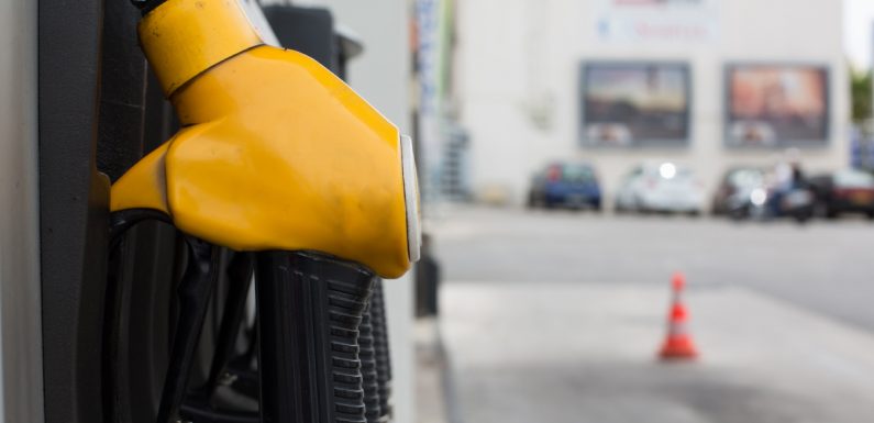 Les automobilistes français se tournent de plus en plus vers les agrocarburants