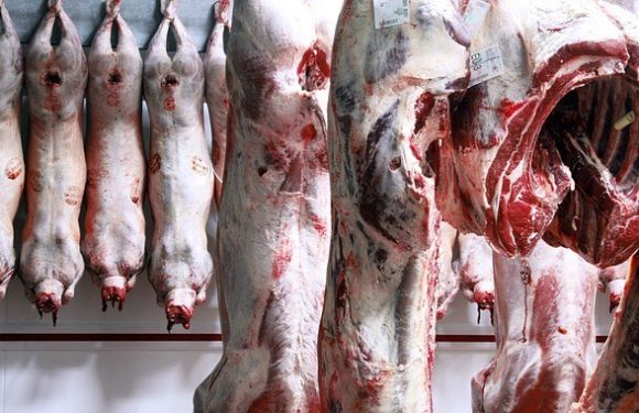 La Pologne a exporté de la viande de bœuf malade en Europe