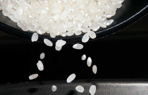 Protectionnisme européen : le riz va-t-il devenir un produit de luxe ?