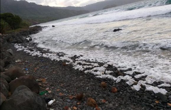 Aux Marquises, l&rsquo;île de Brel et Gauguin souillée par des sacs plastique chinois