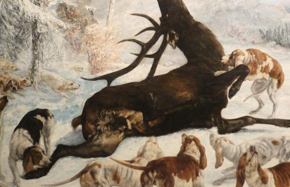 Chasse à courre : une ancienne veneuse « repentie » témoigne