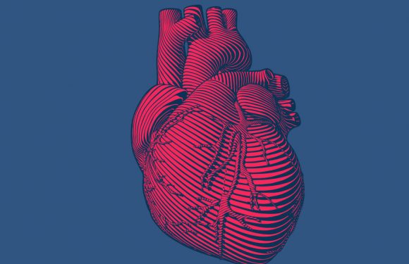 4 gestes pour prendre soin de son cœur