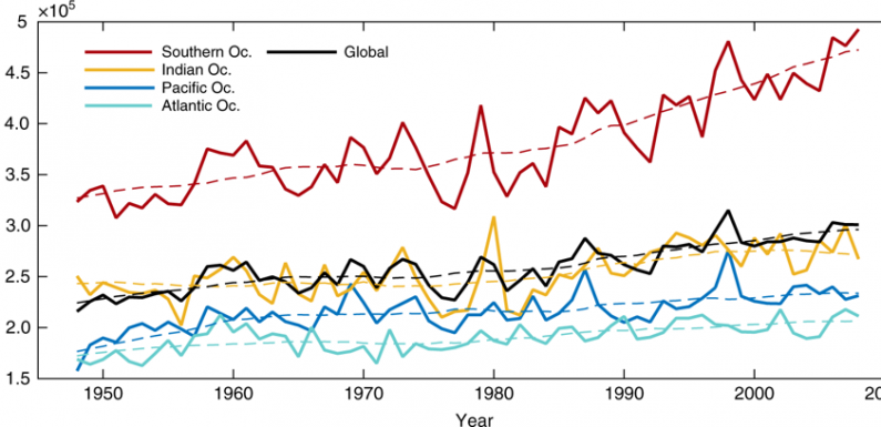 Le réchauffement de l’océan conduit à des vagues de plus en plus puissantes