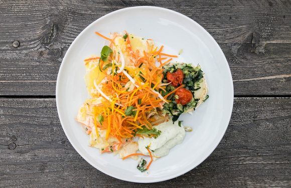 Le régime idéal pour l’Humanité sans doute pas tant que ça