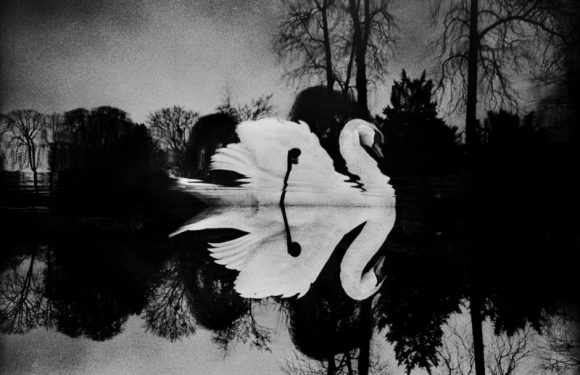 Photographier Paris, nouveaux regards sur la ville