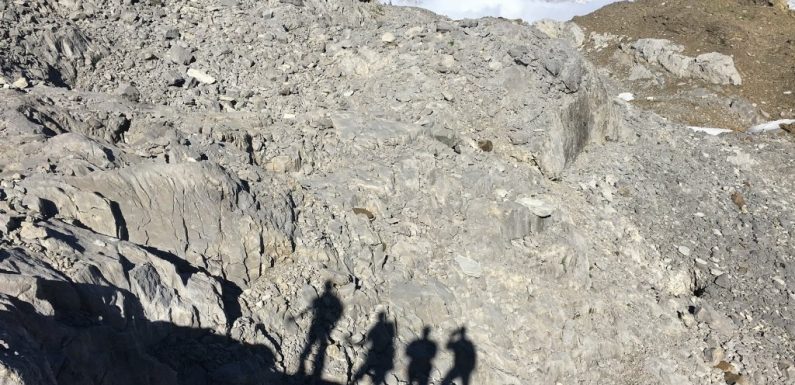 Traversées des Alpes : « Les migrants sont victimes d’une chasse à l’homme qui se répète chaque nuit »