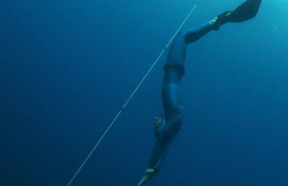 Un siècle plus tard, un second souffle pour l’apnée aux Jeux olympiques ?