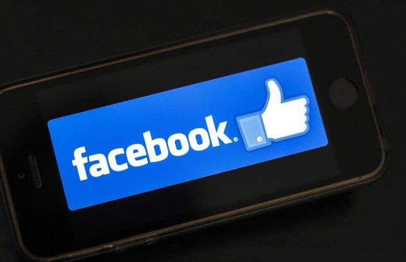 Facebook, le grand mobilisateur