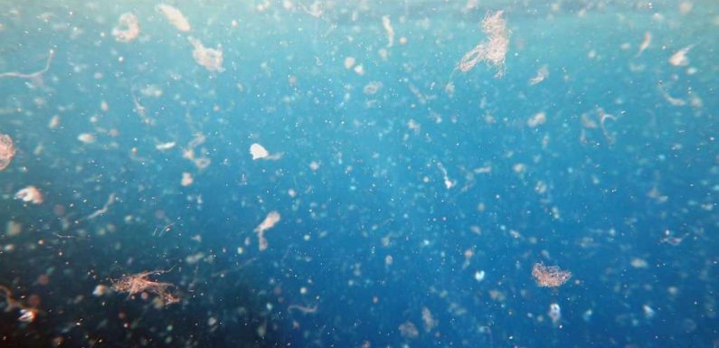 Des microplastiques retrouvés jusque dans les sources souterraines d’eau potable