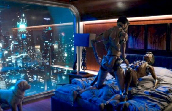 2039 : nos relations avec les robots sexuels, utopie ou dystopie ?