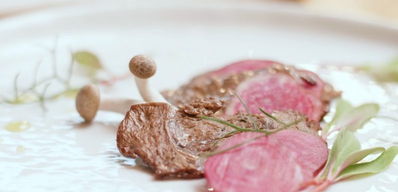 « Le malaise par rapport à l’abattage va bien au-delà des vegans »
