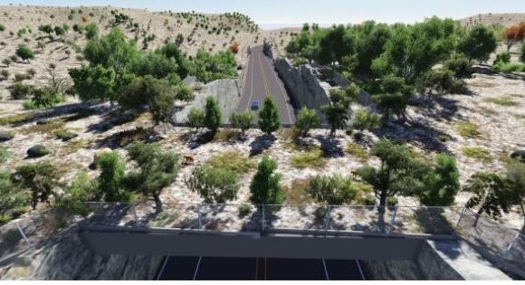 Au Mexique, des petits pont sur les autoroutes pour sauver les animaux sauvages