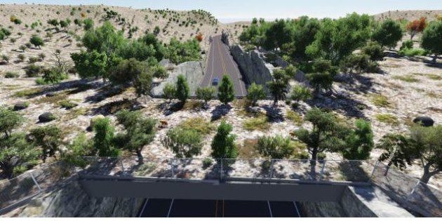 Au Mexique, des petits pont sur les autoroutes pour sauver les animaux sauvages