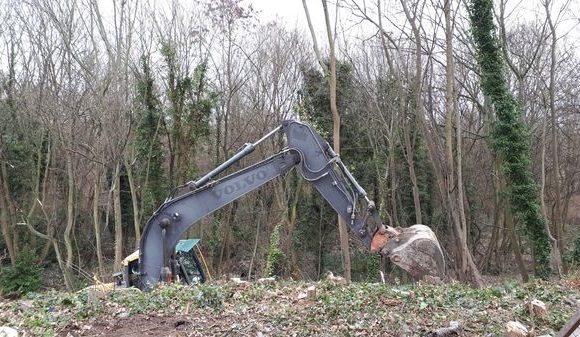 Doit-on faire d&rsquo;une forêt un parc aménagé ?