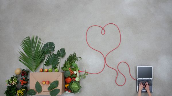 Une épicerie bio en ligne vend tous ses produits sans marge