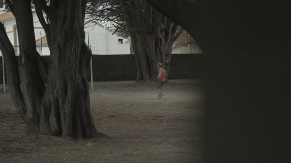 Enfants placés, les sacrifiés de la République