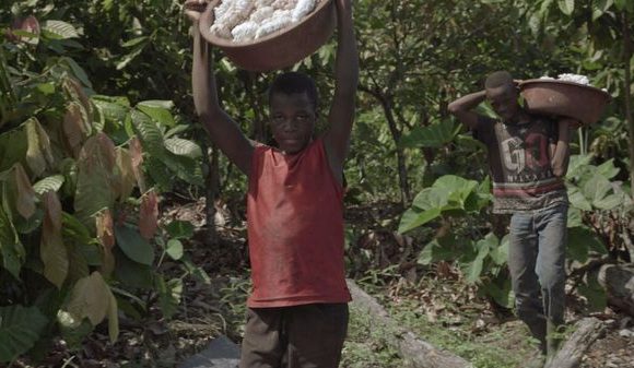 Envoyé Spécial : cacao, les enfants pris au piège