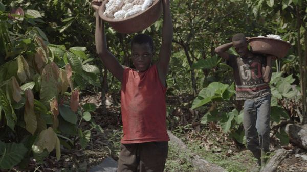 Envoyé Spécial : cacao, les enfants pris au piège