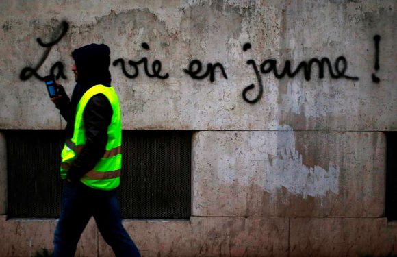 « Gilets jaunes » et Mouvement 5 étoiles : « Dans les deux cas, l’expression d’un “ras-le-bol” général »