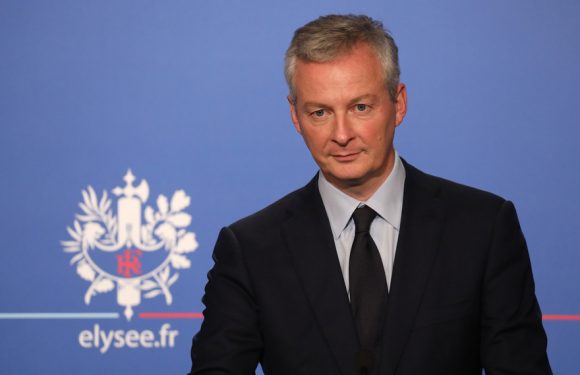 Bruno Le Maire suspend l’interdiction d’un colorant suspecté d’être cancérogène