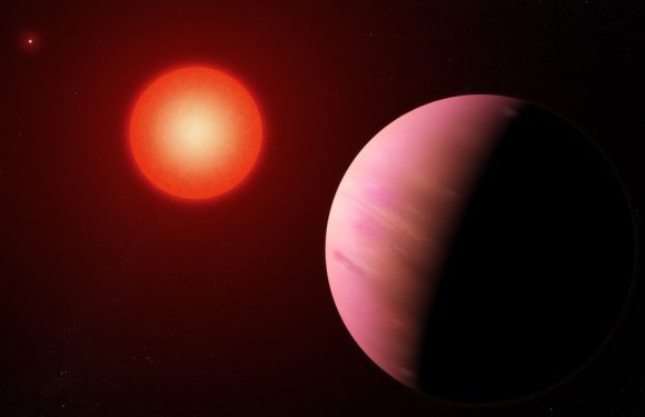 Kepler découvre une planète d’une taille inhabituelle susceptible d’abriter de l’eau