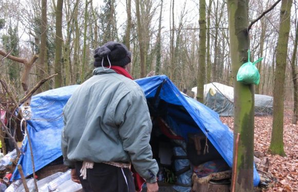 150 «habitants» à l’année dans le bois de Vincennes