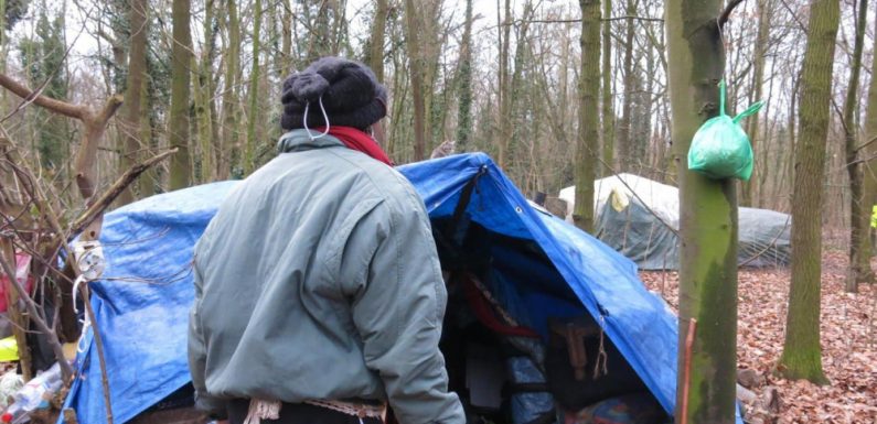 150 «habitants» à l’année dans le bois de Vincennes