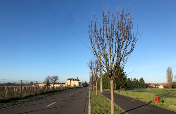 Pesticides en Gironde : le combat victorieux d&rsquo;un collectif de parents d&rsquo;élèves