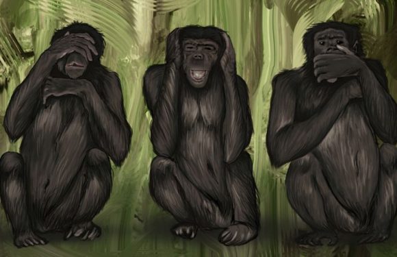 Il ne faut pas sous-estimer la bêtise