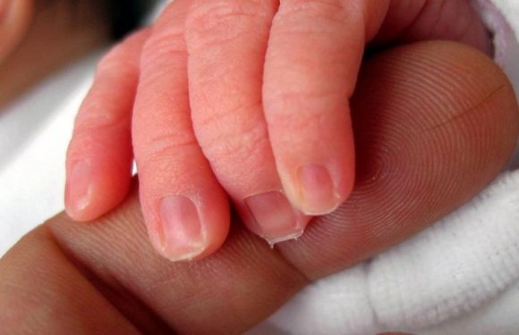 Don d&rsquo;ovocytes : « Je n&rsquo;ai pas donné un bébé, j&rsquo;ai donné une chance de faire un enfant »