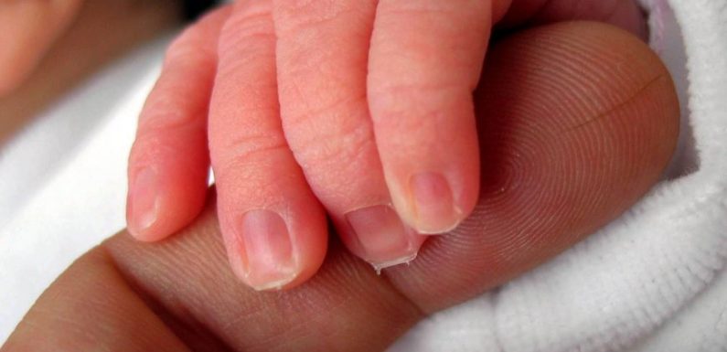 Don d’ovocytes : « Je n’ai pas donné un bébé, j’ai donné une chance de faire un enfant »