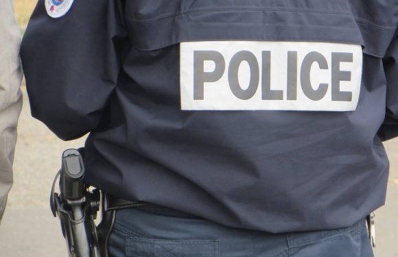 Seine-et-Marne: Un enfant de 7 ans tire dans la cour de récré avec une arme dérobée à son père policier