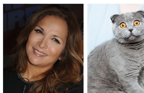 AUDIO. «Minute Papillon!»: Hélène Ségara s’engage pour les animaux, serpent dans les robes de mariées et trop de lapins au Parc bordelais