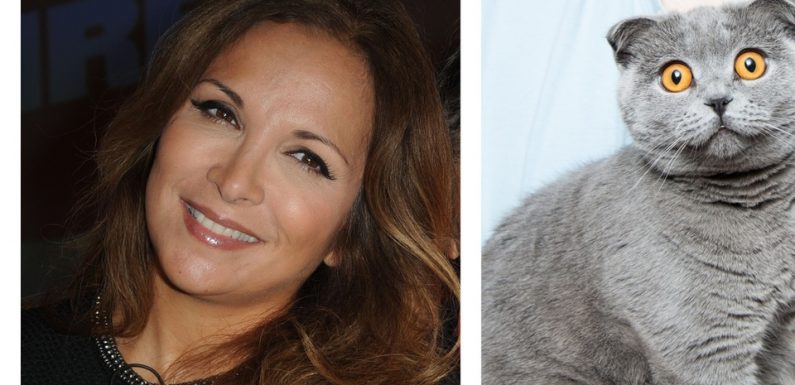 AUDIO. «Minute Papillon!»: Hélène Ségara s’engage pour les animaux, serpent dans les robes de mariées et trop de lapins au Parc bordelais