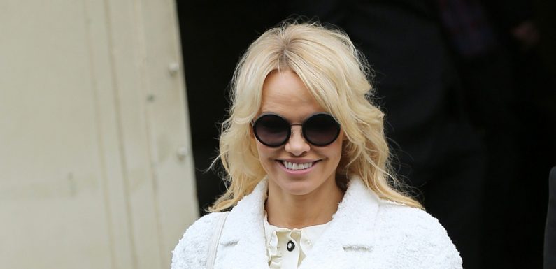 «Il y en a qui déconnent»: Pamela Anderson répond à Emmanuel Macron pour ses propos lors du grand débat national
