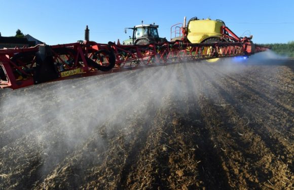 Glyphosate: «70 à 80% des usages en France pourraient être supprimés», pour Nicolas Turquois, agriculteur et député MoDem