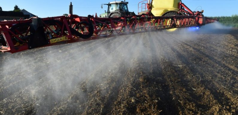Glyphosate: «70 à 80% des usages en France pourraient être supprimés», pour Nicolas Turquois, agriculteur et député MoDem