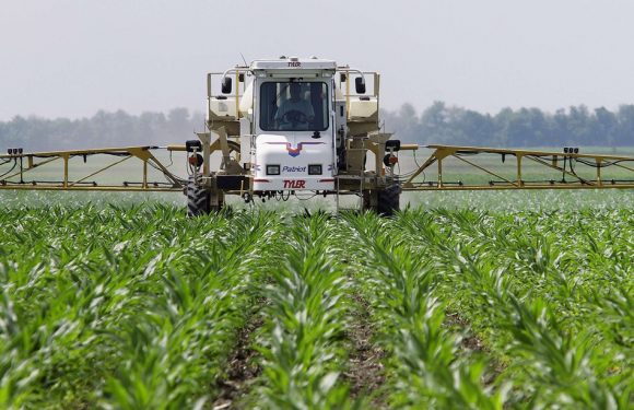 Toulouse: Ils ont jusqu&rsquo;à 31 fois la dose de glyphosate autorisée dans leurs urines