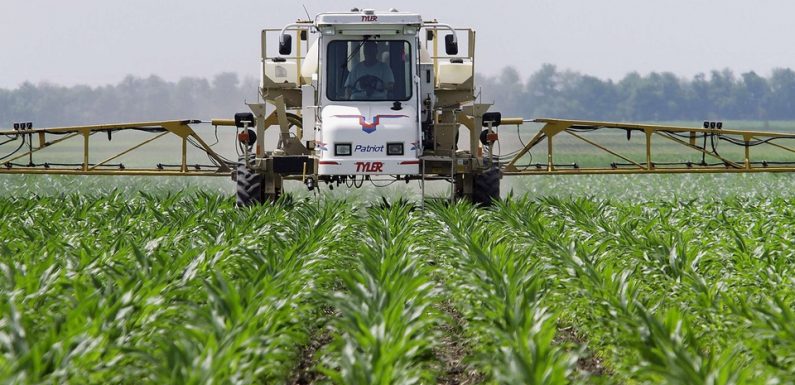 Toulouse: Ils ont jusqu’à 31 fois la dose de glyphosate autorisée dans leurs urines