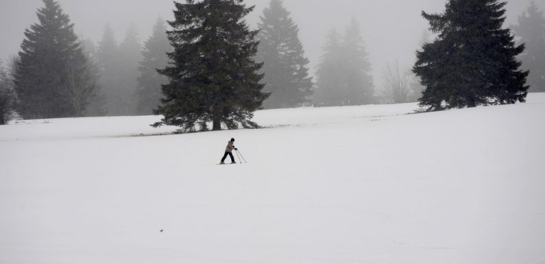 Vosges : Alerte aux coulées de neige dans les massifs des Vosges