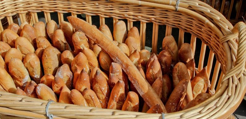 Additifs, résidus de pesticides, mycotoxines… De nombreuses substances indésirables dans le pain