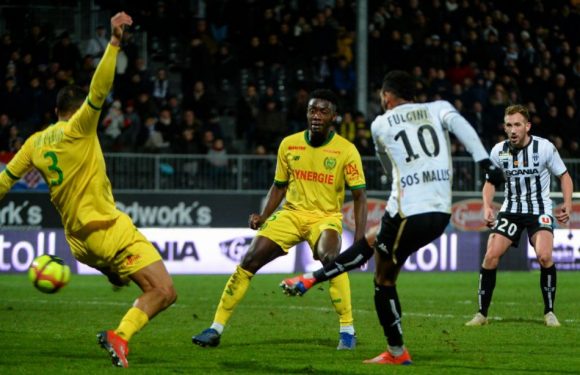 SCO-FC Nantes: Sans un nouveau buteur, «le FCN est en danger», selon Vahid Halilhodzic