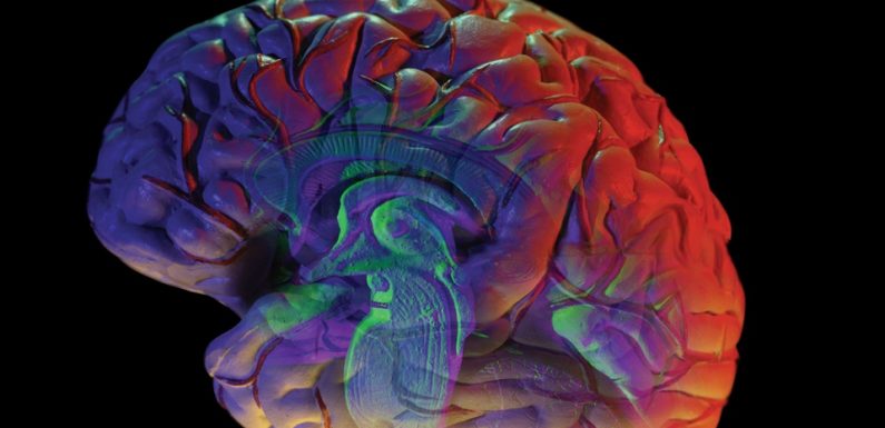 Toulouse: Des nano-sondes pour mieux comprendre les problèmes de connexions neuronales
