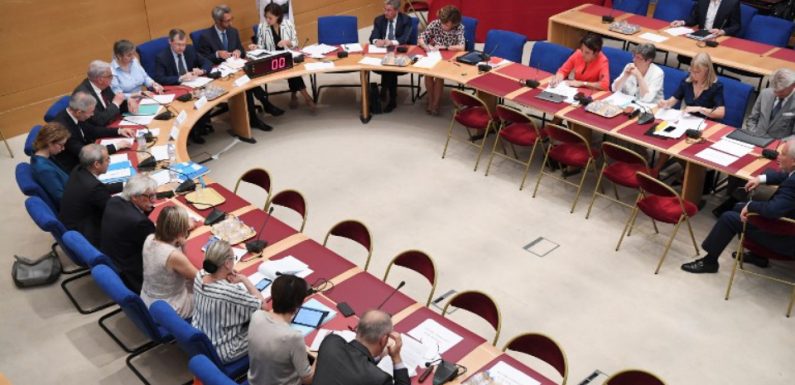 VIDEO. Affaire Benalla: Strzoda, Castaner et Le Drian auditionnés par la commission du Sénat ce mercredi
