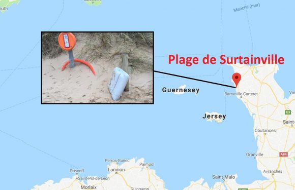 VIDEO. Disparition de Sala: «J&rsquo;ai su de suite que c&rsquo;était le coussin de l&rsquo;avion», raconte la promeneuse qui a trouvé les débris