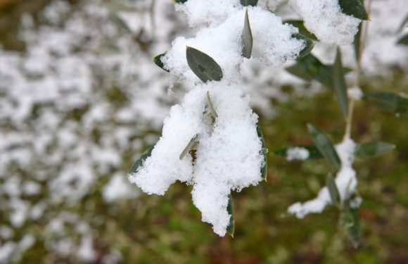 Neige-verglas: Météo France place cinq départements de l&rsquo;Est de la France en vigilance orange